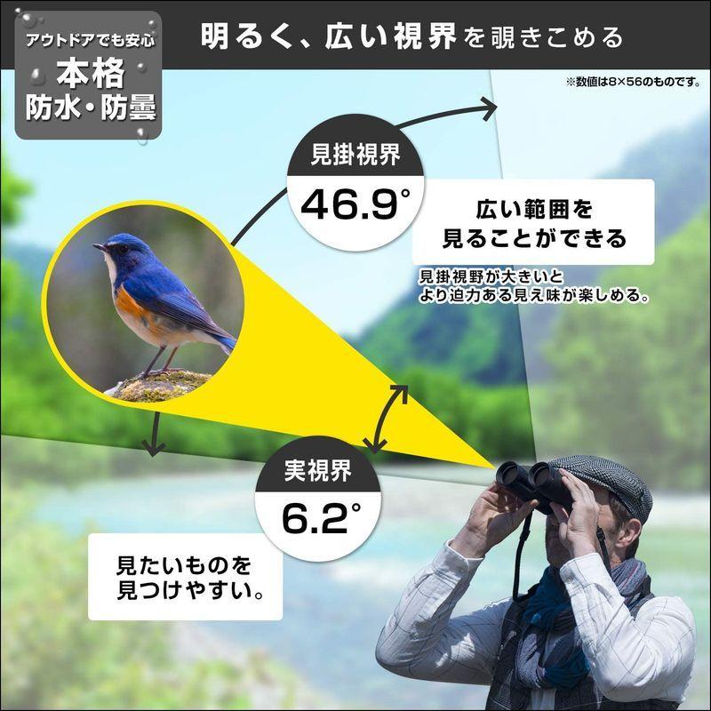 ブランド Nikon 双眼鏡 モナーク5 16×56 ダハプリズム式 16倍56口径 MONARCH 5 16x56 【E9936590773】(35692円)