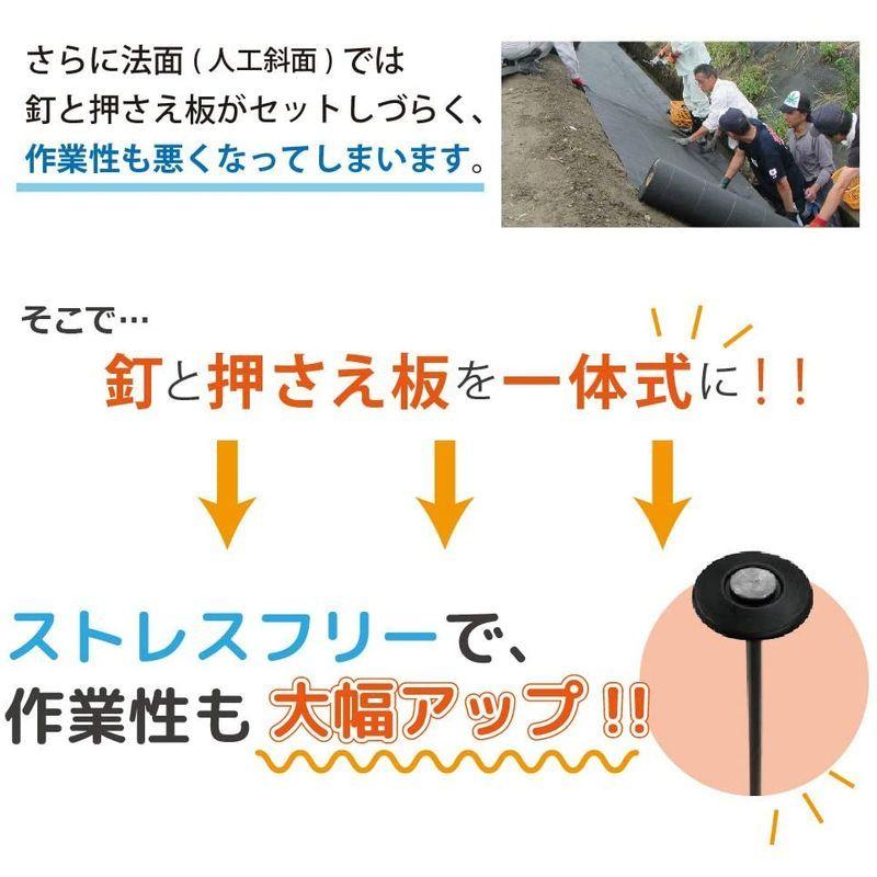 DAIM 防草シート押さえ 楽釘 長さ15cm・20cm 300本入 園芸 防草 雑草対策 防草シート ピン 釘押さえ おさえ ガーデニング 園芸 防草 雑草対策 防草シート ピン 釘押さえ おさえ ガーデニング 防草シート押さえ 楽釘 長さ15cm 20cm 300本入 家庭菜園 用品 用具 シート 固定 効率 農業 農業資材 一体型 　 サイズ 釘と押さえ板 パット すぐに作業に取り掛かれます！