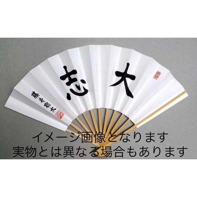 日本将棋連盟 藤井聡太 公式 並 扇子 四段 大志 :20221116115105-00303:オンラインショップエムオー - 通販 -  Yahoo!ショッピング