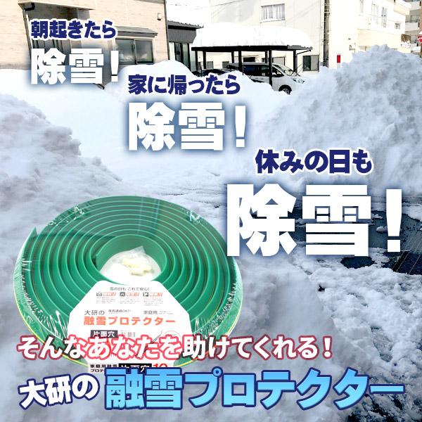 融雪プロテクター 融雪ホース 家庭用 10メートル 片穴 車が踏んでもOK