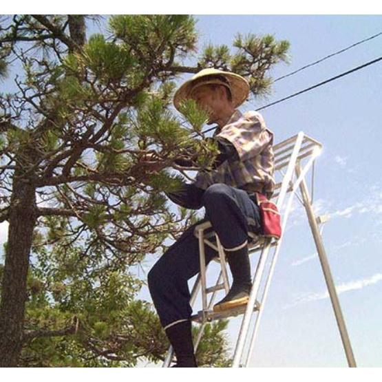 三脚用補助椅子 三脚 脚立 高所作業 修繕 剪定 園芸 日本製 三脚用補助椅子 三脚 脚立 高所作業 修繕 剪定 園芸 日本製