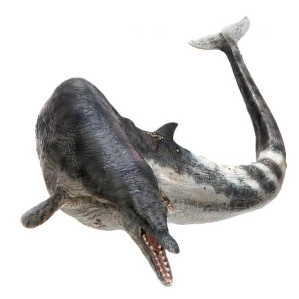 PNSO 50*9cm 恐竜キング クジラ モデル whale 玩具 Zeuglodon プラスチック製 完成品