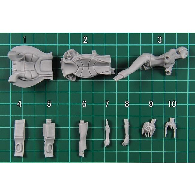 1/20 女性操縦士 ロボット ロボ 操縦 メカ かわいい フィギュア 1/20 女性操縦士 ロボット ロボ 操縦 メカ かわいい フィギュア