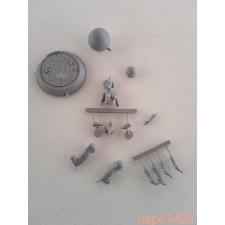 ガレージキット フィギュア スターウォーズ 約75mm 1/24スケール ガレージキット フィギュア スターウォーズ 約75mm 1/24スケール