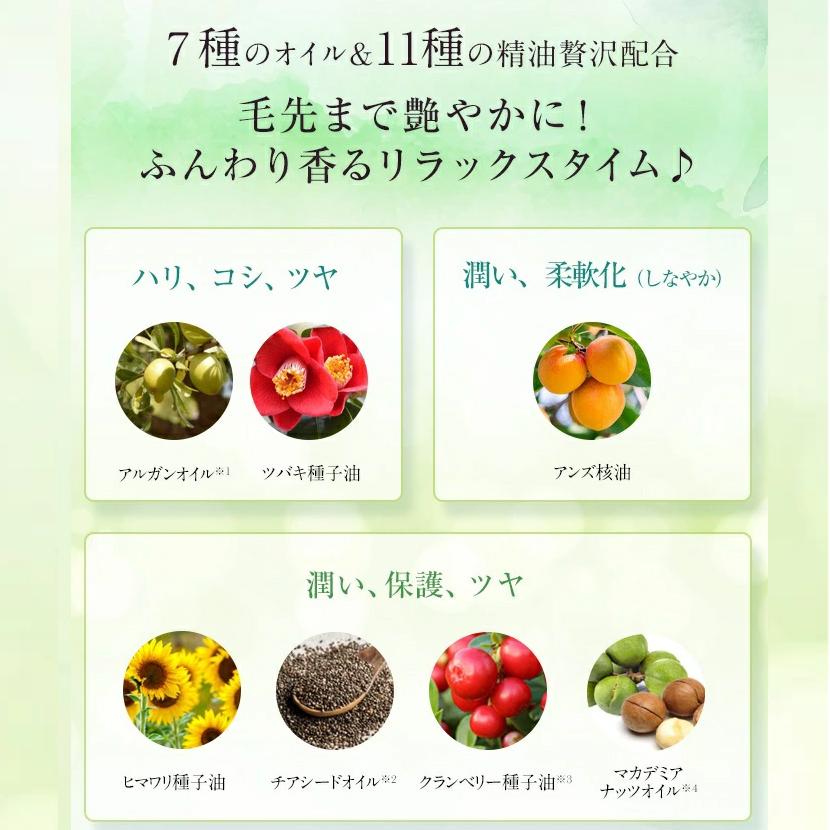 5%OFFクーポン アルマード オーディ アミノリペア シャンプー 400mL