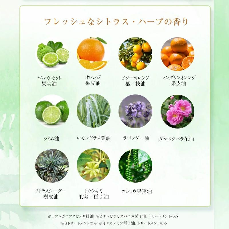 5%OFFクーポン アルマード オーディ アミノリペア シャンプー 400mL