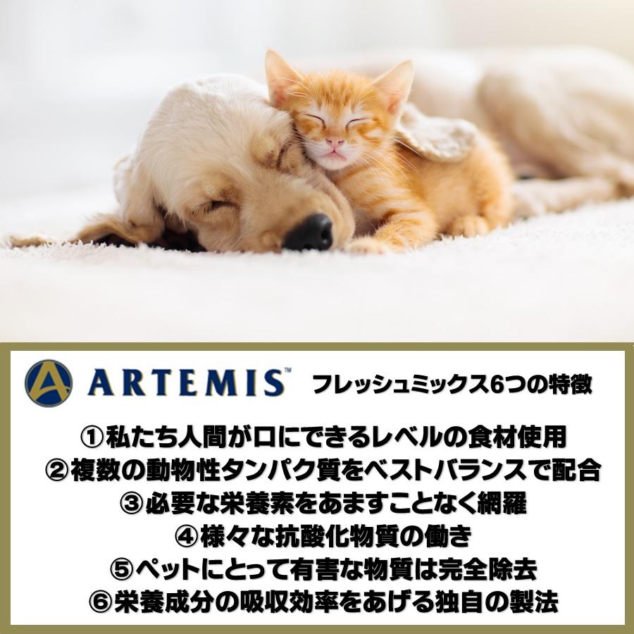 ARTEMIS（ペット） アーテミス フレッシュミックス アダルト