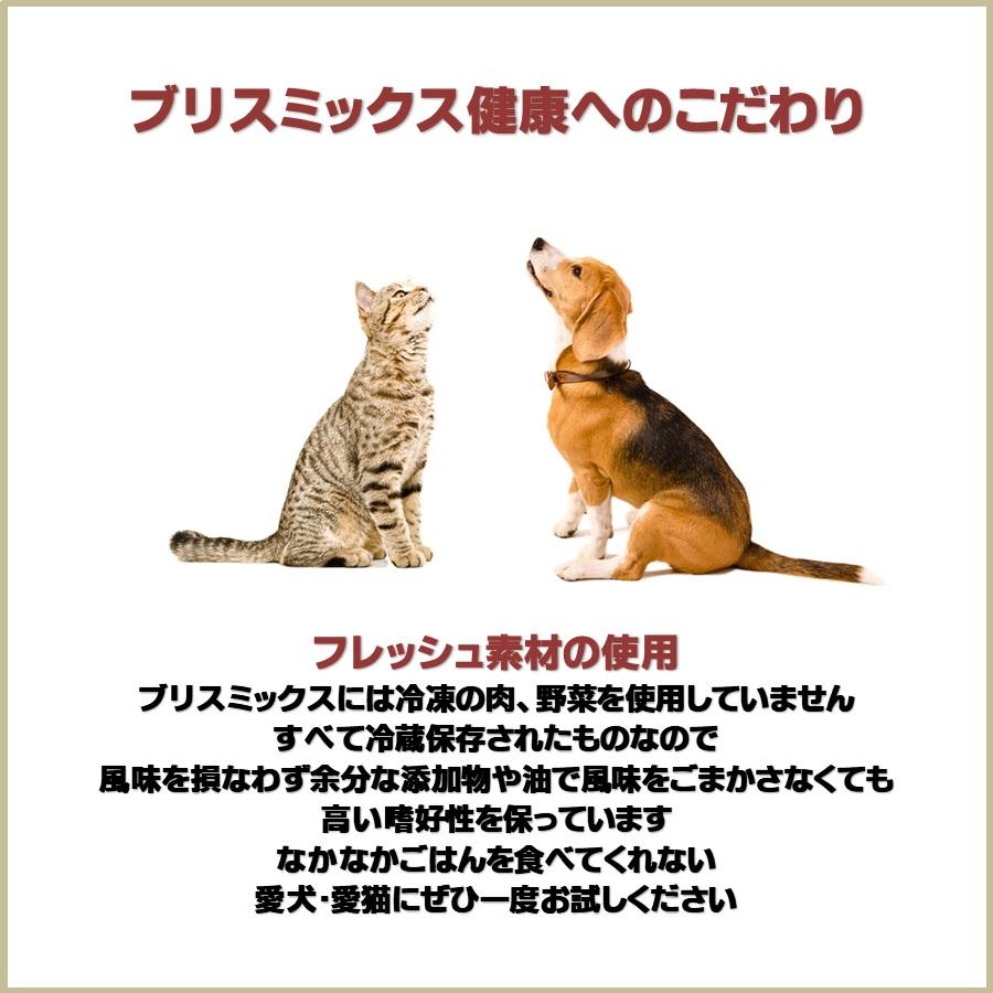BLISMIX（ブリスミックス） キャットフード チキン 2kg【正規品