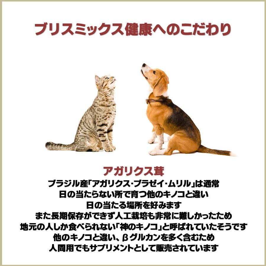 ブリスミックス 猫用 phコントロール グレインフリーチキン 2kg【正規品】｜onlineshop｜06
