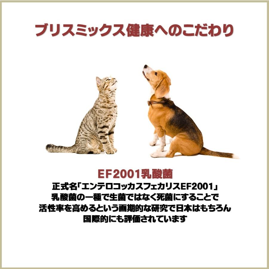 ブリスミックス 猫用 phコントロール グレインフリーチキン 500g【正規品】｜onlineshop｜04