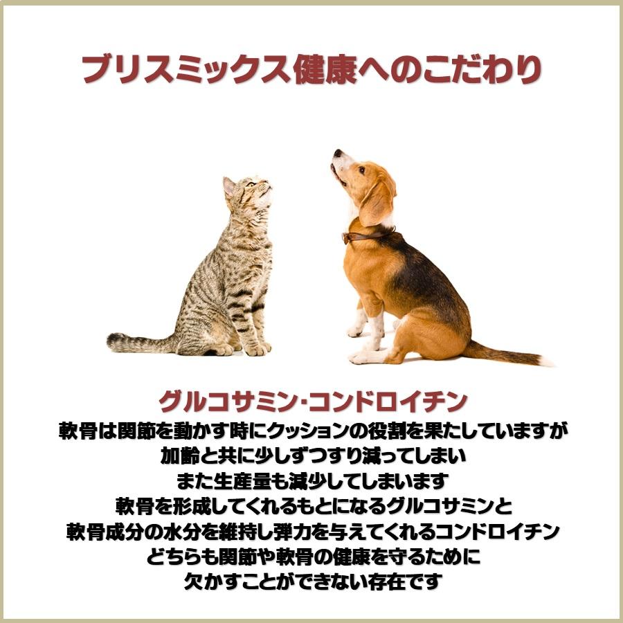 BLISMIX（ブリスミックス） 犬用 グレインフリー サーモン 小粒 6kg