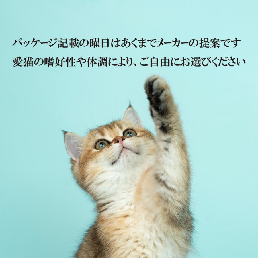 Signature7（シグネチャー7） 愛猫用 ウイークリーパック パティタイプ