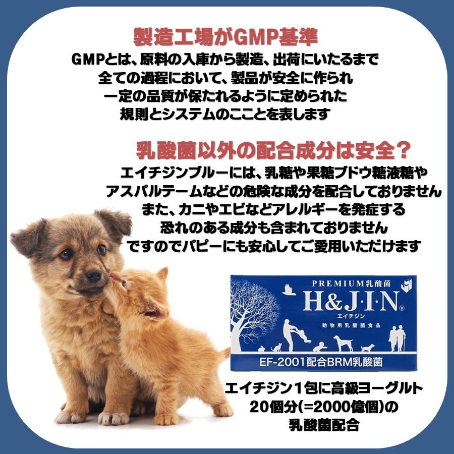 動物用 乳酸菌 エイチジン ブルー 30包【正規品】 : フォアモスト