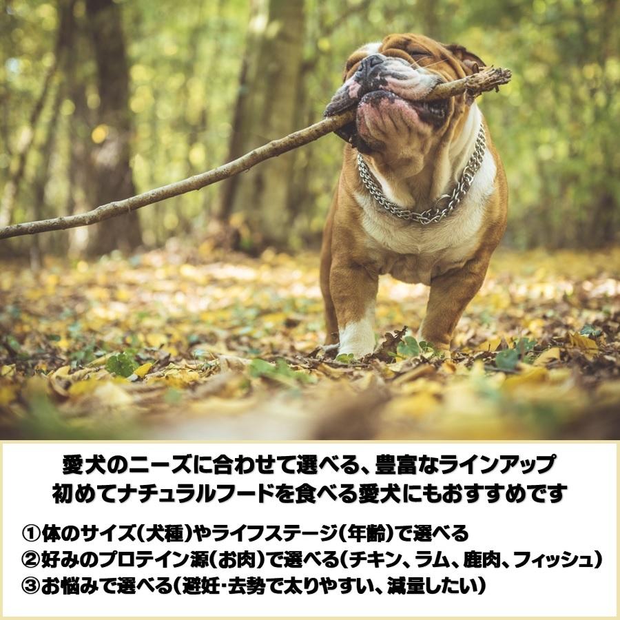 ニュートロ ナチュラルチョイス  超小型犬用 成犬用 チキン＆玄米 2kg【正規品】｜onlineshop｜05