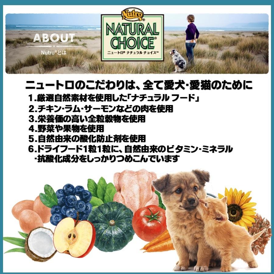 ニュートロ ナチュラルチョイス ラム&玄米 子犬用 全犬種用 6kg【正規品】｜onlineshop｜06