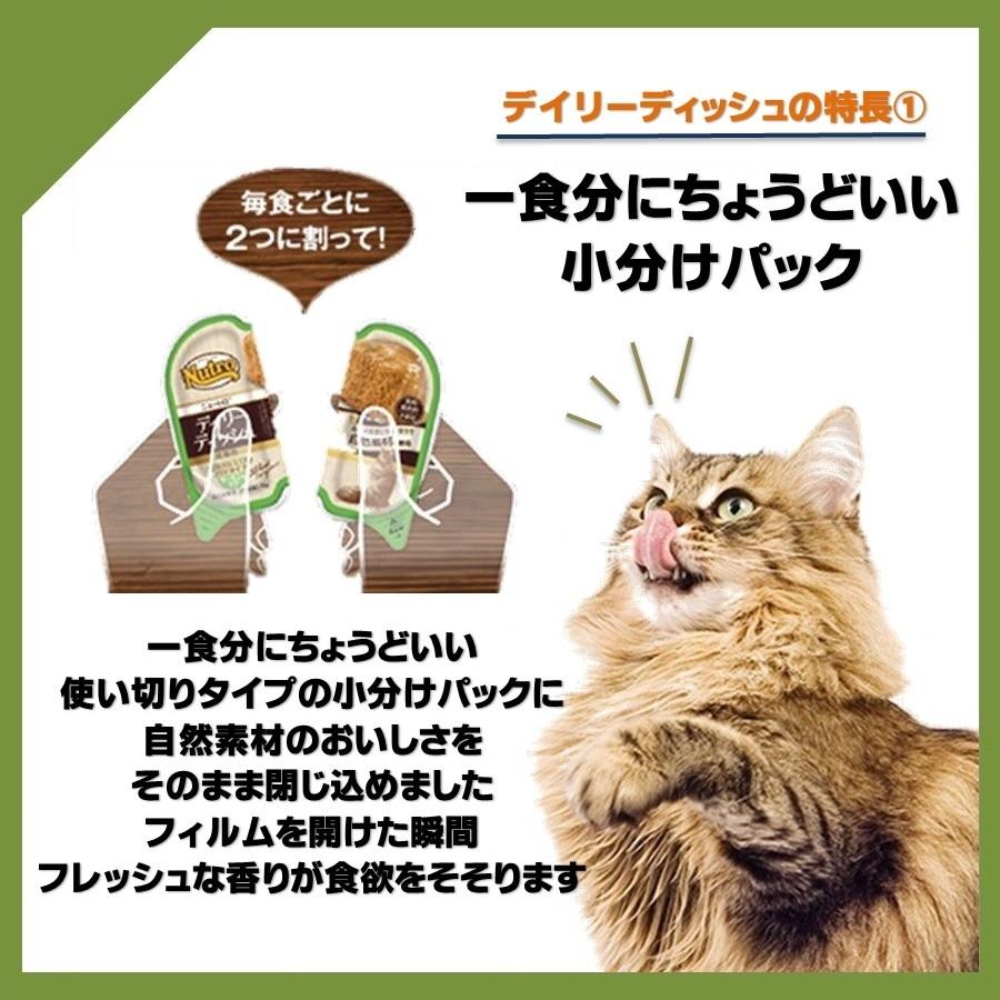 ニュートロ デイリーディッシュ パテタイプ ターキー 成猫用 75g【正規品】 :NDD-NCW04:フォアモストオンラインショップ - 通販 - Yahoo!ショッピング ニュートロ デイリーディッシュ パテタイプ ターキー 成猫用 75g【正規品】 :NDD-NCW04:フォアモストオンラインショップ - 通販 - Yahoo!ショッピング