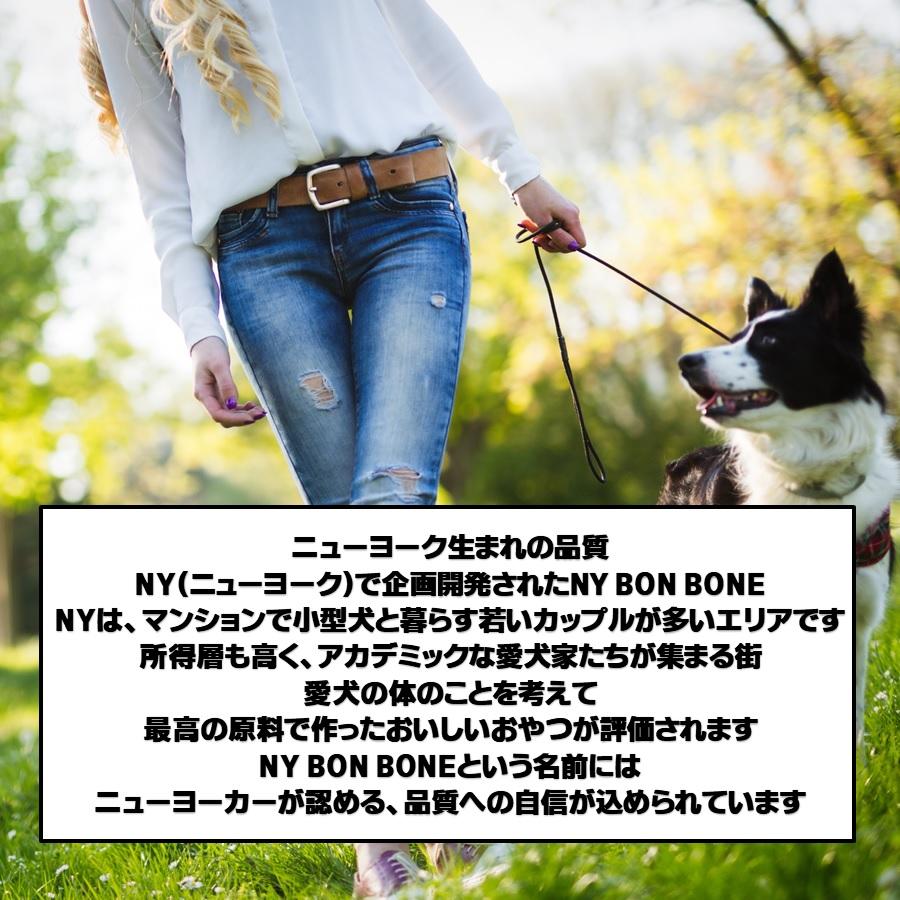 NY BON BONE 犬用おやつ バナナココナッツ 80g【正規品】｜onlineshop｜04