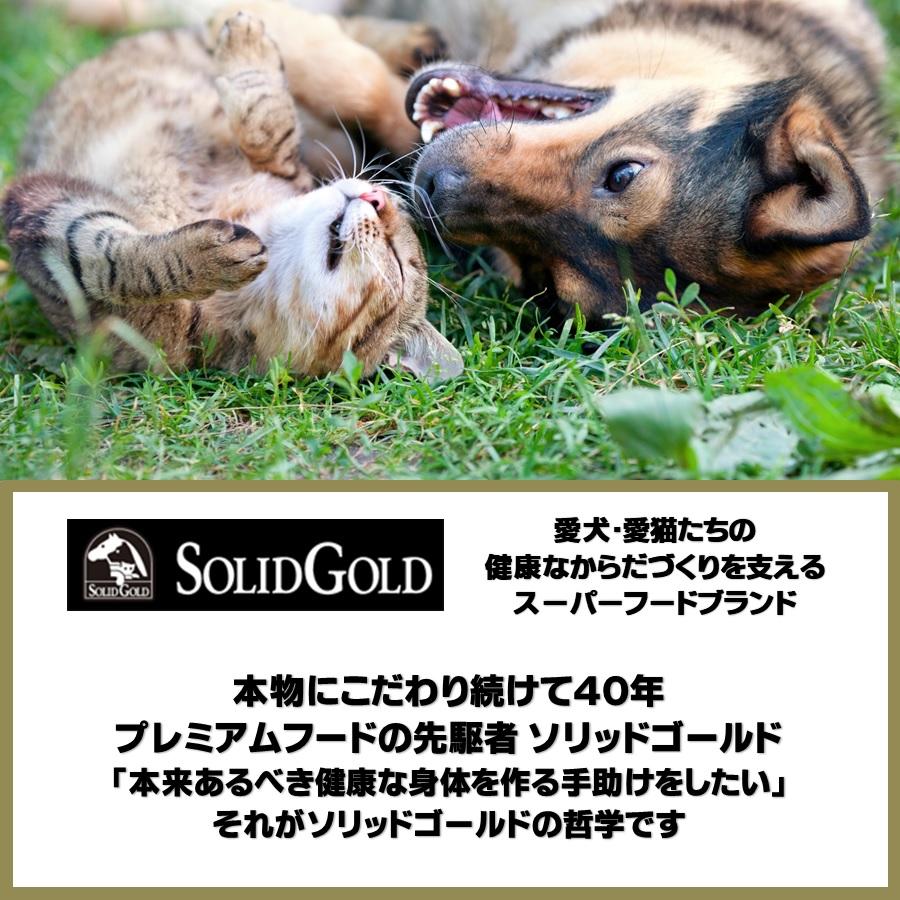 ソリッドゴールド フィット アズア フィドル(猫用) 2kg【正規品】｜onlineshop｜02