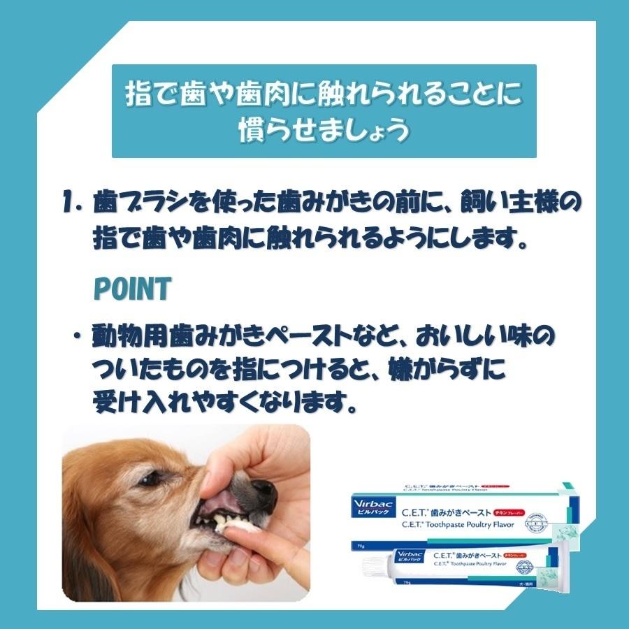 ビルバック 犬猫用 CET歯磨きペースト モルトフレーバー 70g×4【正規品】｜onlineshop｜04