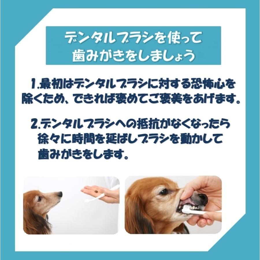 Virbac（ビルバック） 犬猫用 CET歯磨きペースト バニラミント