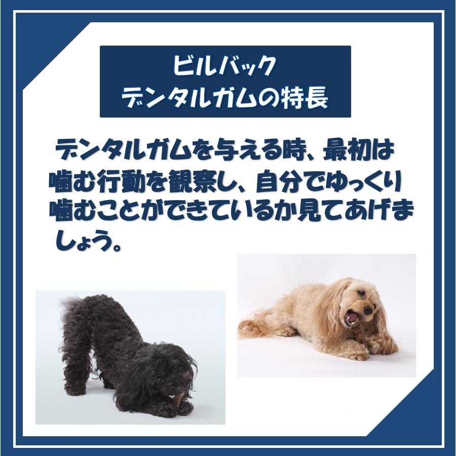ビルバック 犬用 CETベジデントフレッシュ M 15本入り(4個セット)【正規品】_3