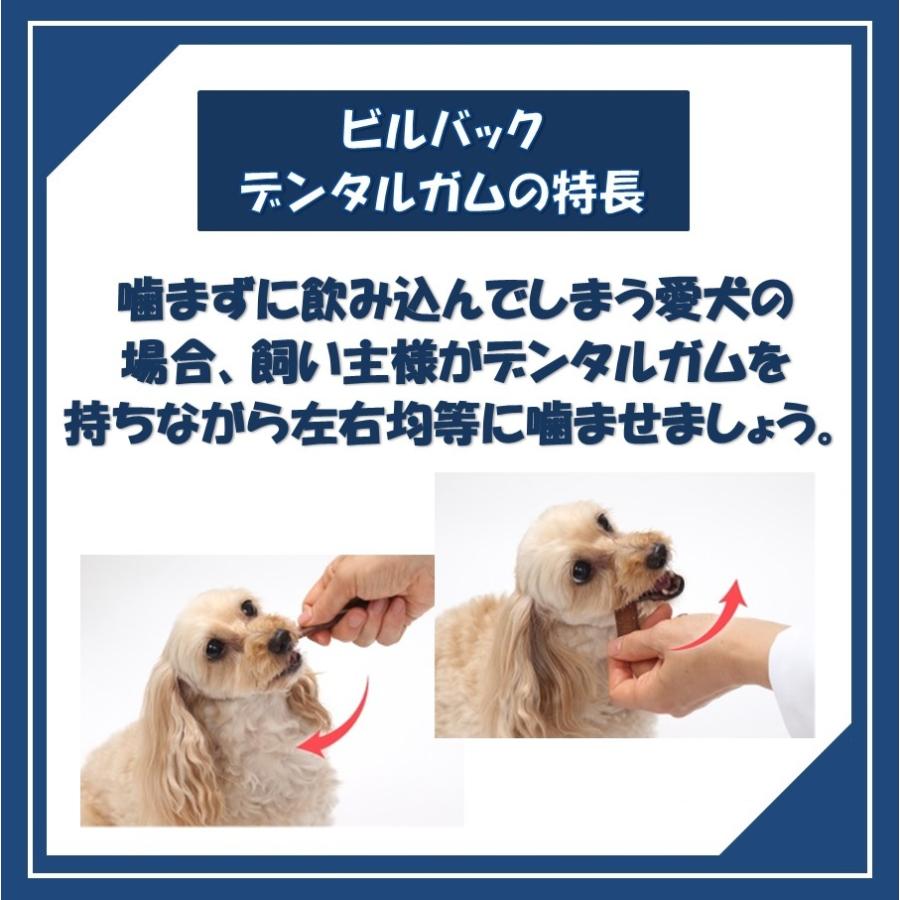 ビルバック 犬用 CETベジデントフレッシュ M 15本入り(4個セット)【正規品】_4