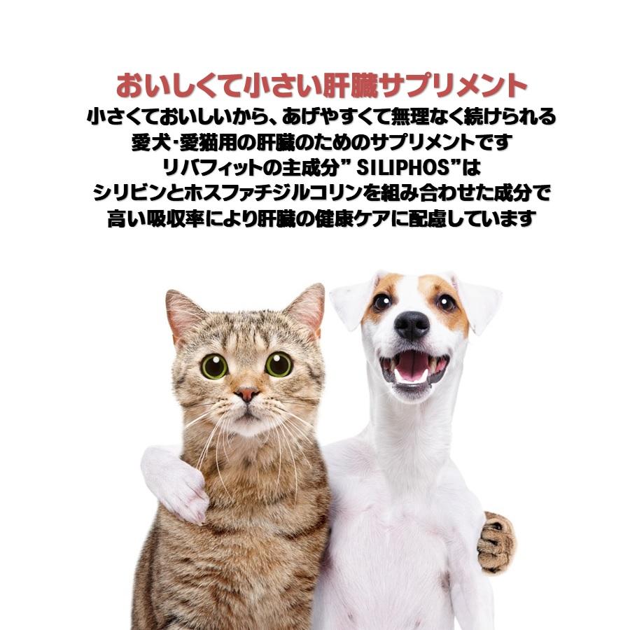ビルバック リバフィット S （犬：10kg以下・猫用）30粒【正規品】｜onlineshop｜02