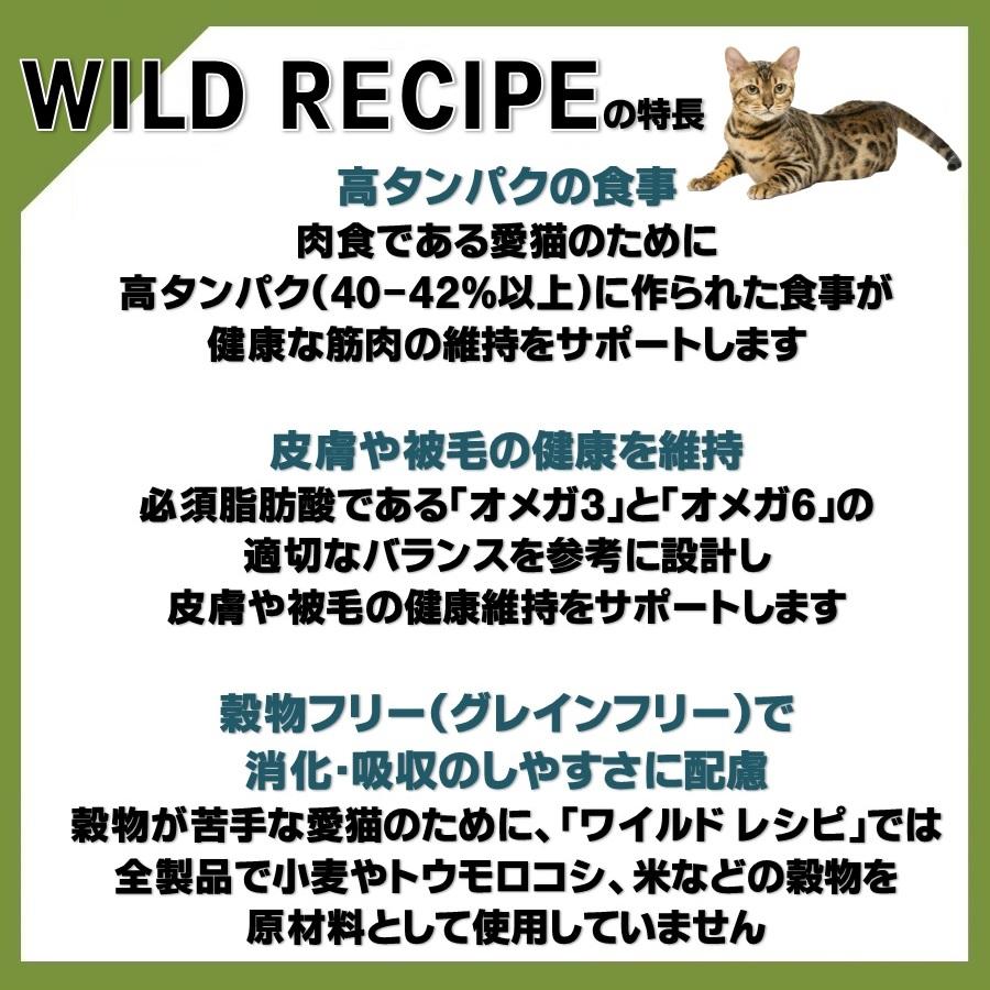 ニュートロ ワイルドレシピ 成猫用 サーモン パテタイプ 75g×6【正規品