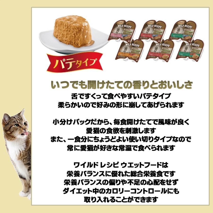 ワイルドレシピ 猫評価 | 猫 ワイルドレシピ ニュートロ 問題 欠点 – GJRUSY