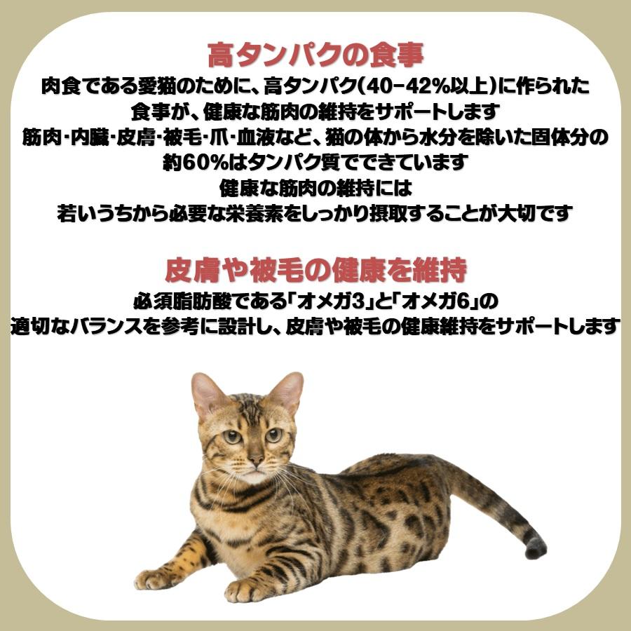 ニュートロ ワイルドレシピ キトンチキン 子猫用 400g【正規品】｜onlineshop｜03