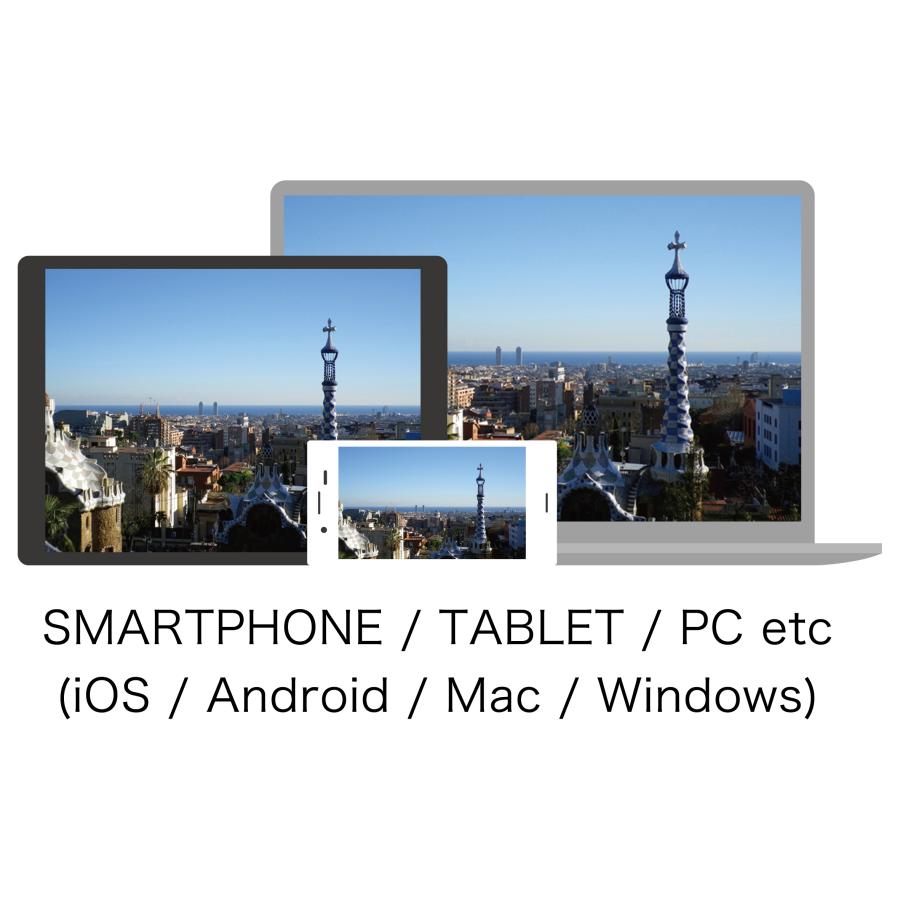 スマホ iPhone テレビに映す 無線 ミラーリング HDMI 接続 ワイヤレス ミラスクリーン V-MCS01 Android iPad対応 | VERTEX STYLE | 02