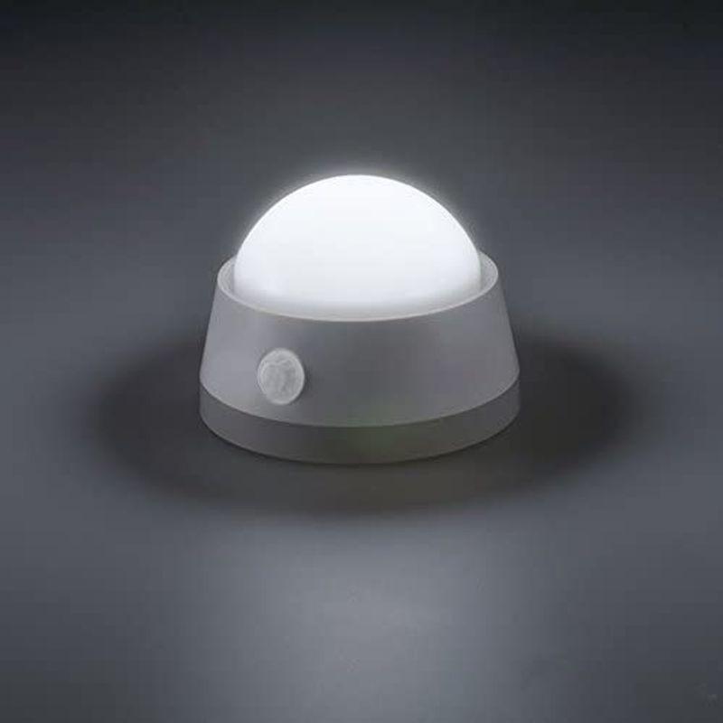 気質アップ 白色LED 明暗+人感センサー LEDセンサーライト オーム電機 電池式 NIT-BLA6JD-WN プッシュライト 消火器、消防用品 -  www.idea.us.es