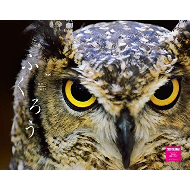 高質 カレンダー21壁掛け カレンダー 21 ネコ パブリッシング ふくろうカレンダー カレンダー Www We Job Com