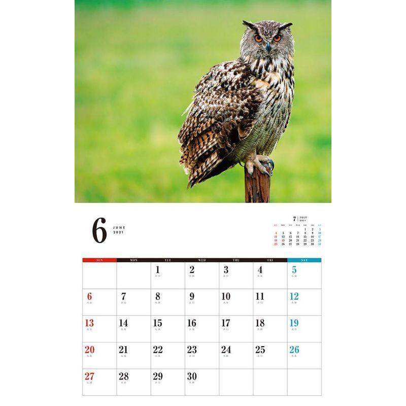高質 カレンダー21壁掛け カレンダー 21 ネコ パブリッシング ふくろうカレンダー カレンダー Www We Job Com