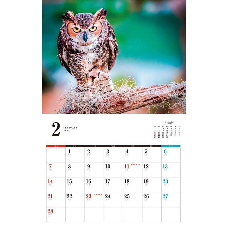 高質 カレンダー21壁掛け カレンダー 21 ネコ パブリッシング ふくろうカレンダー カレンダー Www We Job Com