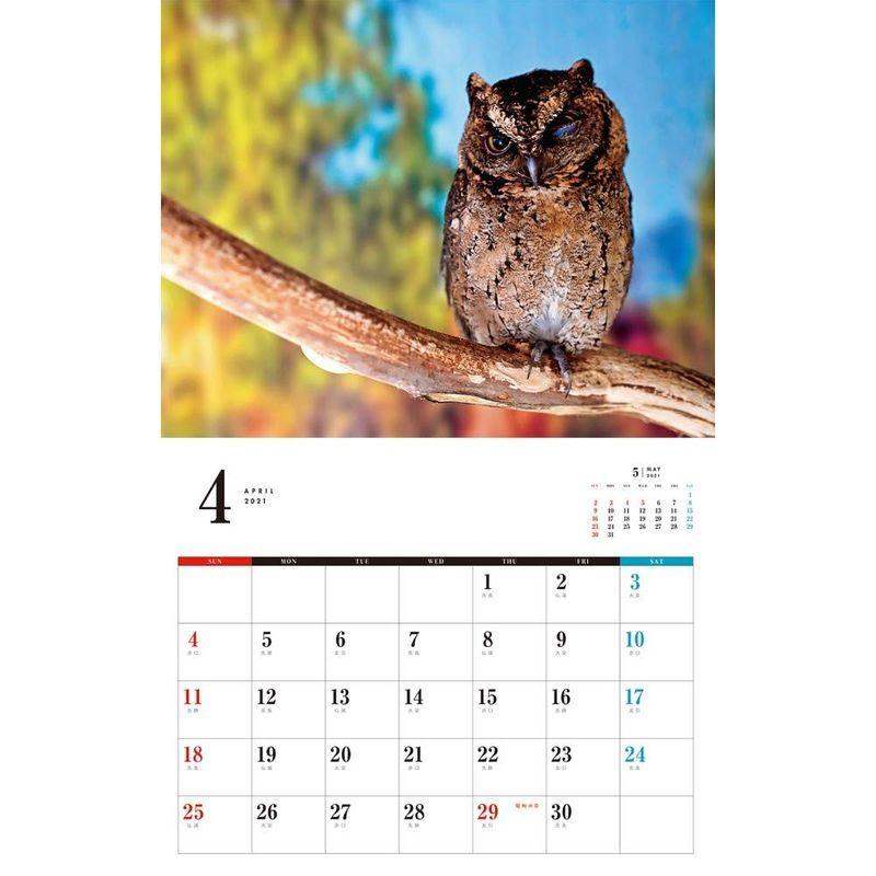 高質 カレンダー21壁掛け カレンダー 21 ネコ パブリッシング ふくろうカレンダー カレンダー Www We Job Com