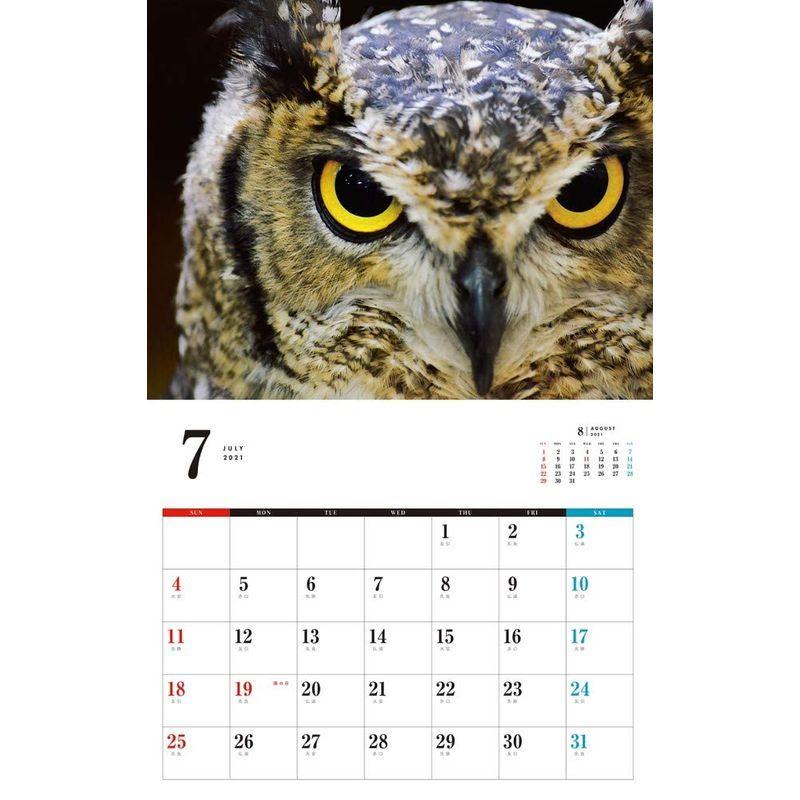 高質 カレンダー21壁掛け カレンダー 21 ネコ パブリッシング ふくろうカレンダー カレンダー Www We Job Com