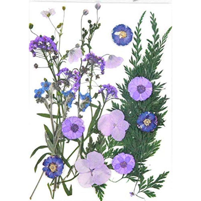 Diy用 押し花 ドライフラワー ブリザードフラワー 紫 薄紫 白ミックス 手数料安い