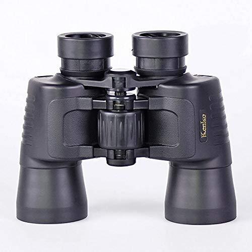 Kenko 双眼鏡 アートス 8×42 ポロプリズム式 8倍 42口径 ワイド 完全防水 星空観測 バードウォッチング 761977 アートス