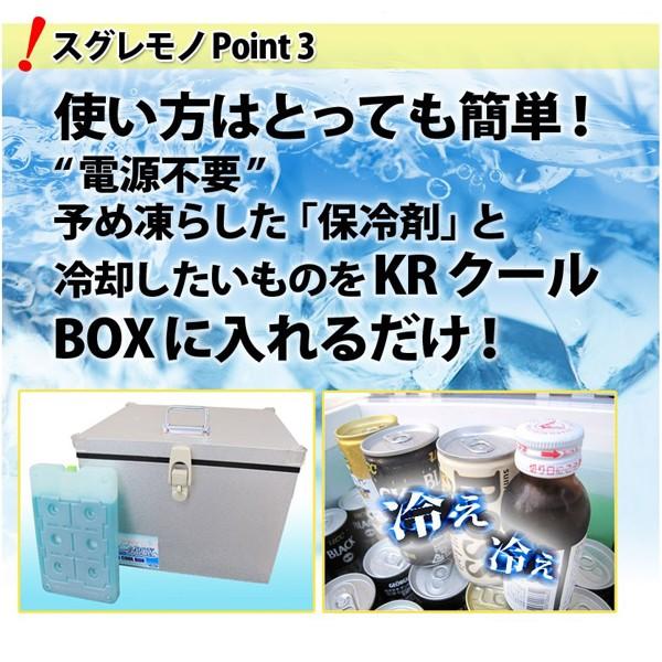 内面ステンレスタイプKRクールBOX-S 20LNS 高機能保冷剤セット 