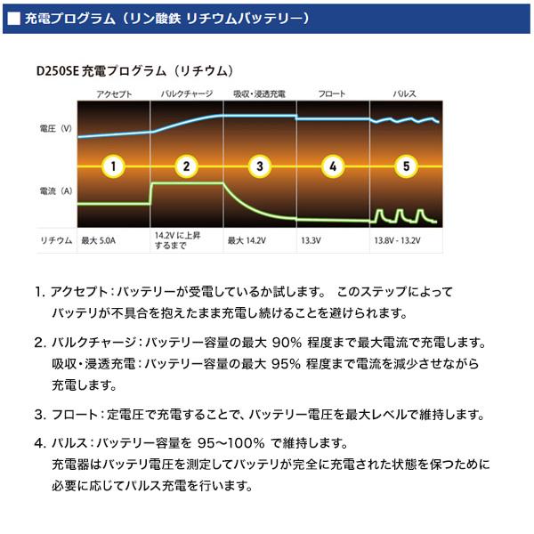 CTEK D250SE 12V 走行充電器 説明書付き 走行充電器 CTEK（鉛・リチウム電池対応）12V 140A IP65