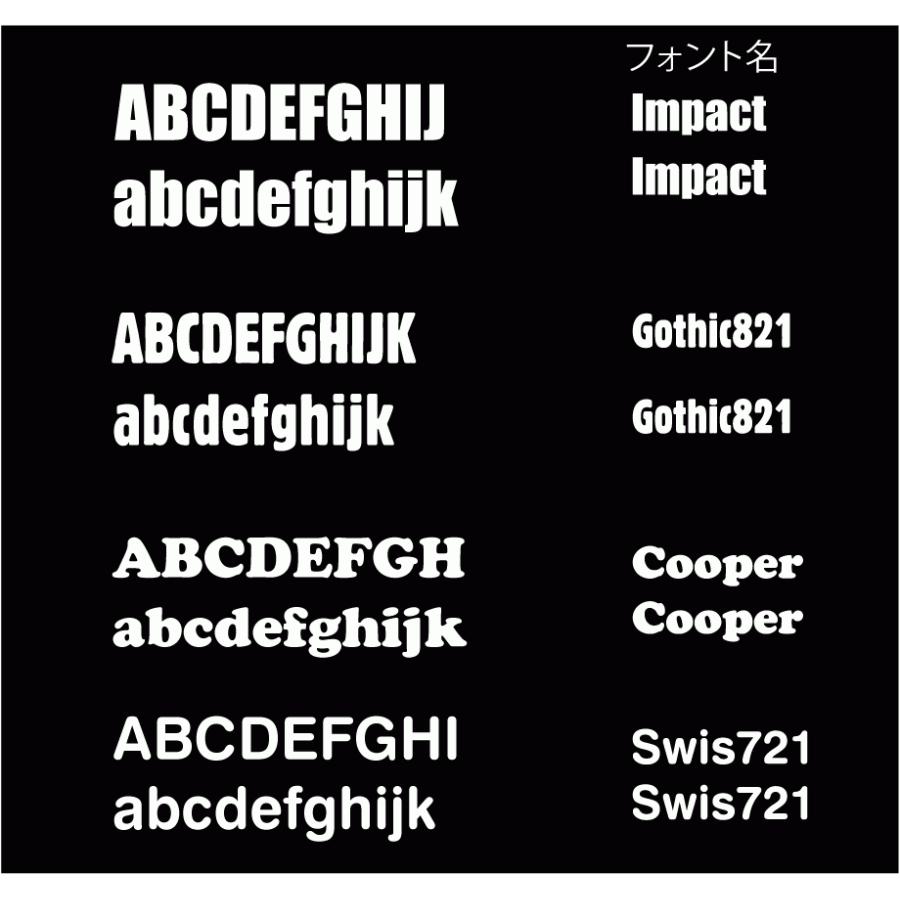 アルファベット半角 切り文字 12文字以内 | 