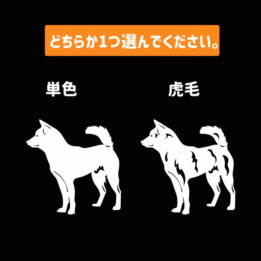 甲斐犬 ステッカーkaiken カッティングステッカー 車 名入り : Only