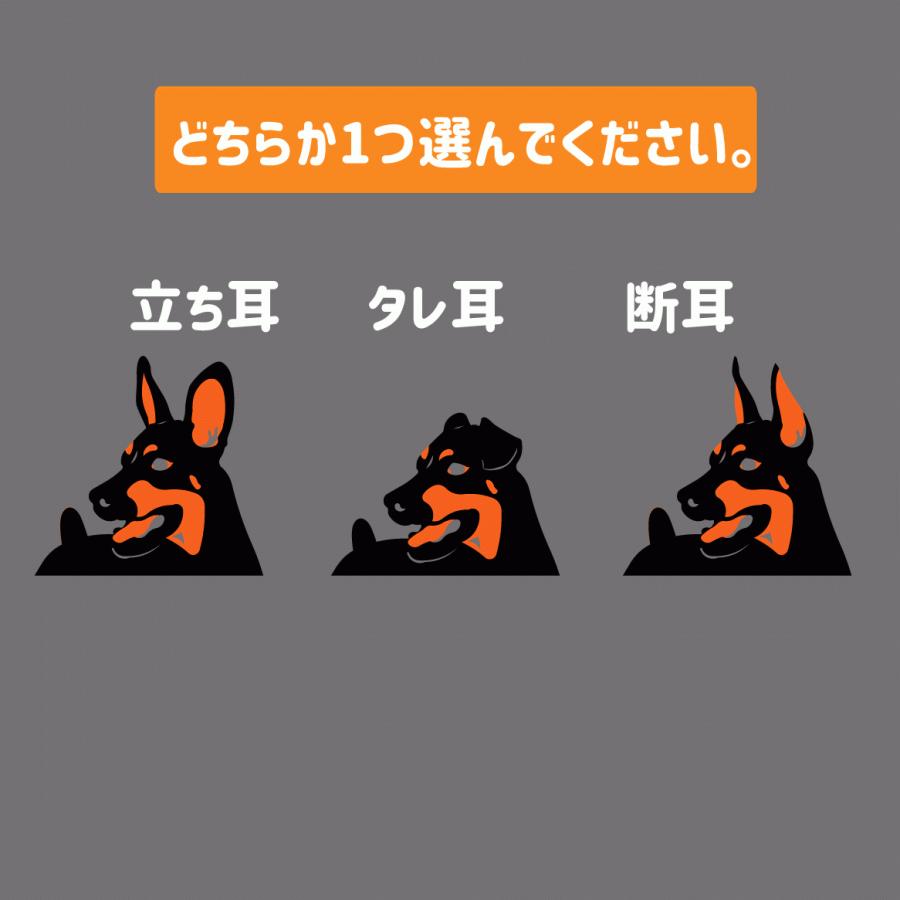 ミニチュアピンシャー ステッカー ミニピン カッティングステッカー 断耳 タレ耳 601 3 Onlyわん 犬種別ステッカー 通販 Yahoo ショッピング