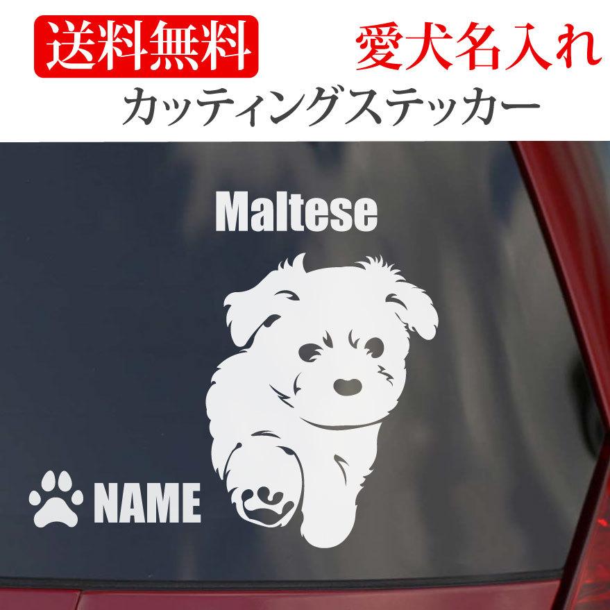 マルチーズ ステッカー カッティングステッカー 車 名入り : Onlyわん 