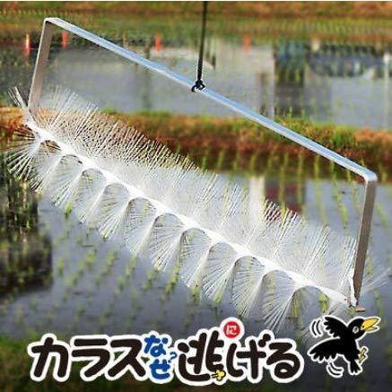 現金特価 カラスなぜ逃げる ニューどこでも10個セット ｋｓ ０４５撃退率95 以上 カラス撃退 カラスよけ カラス除け 鳥 糞 カラス 対策 グッズ 烏 か S オンラインストア オンリーユー 通販 Yahoo ショッピング 激安特価 Blog Lonolife Com