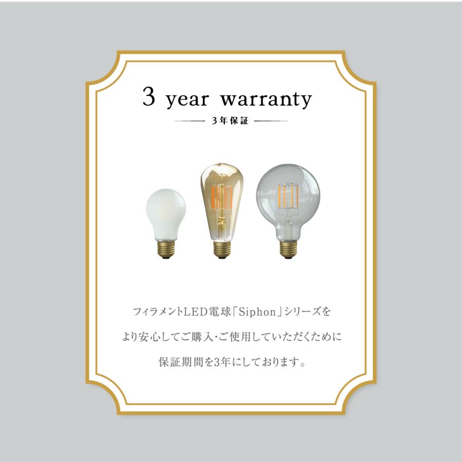 3年保証 フィラメントLED電球「Siphon」ボール95 フロスト グロス