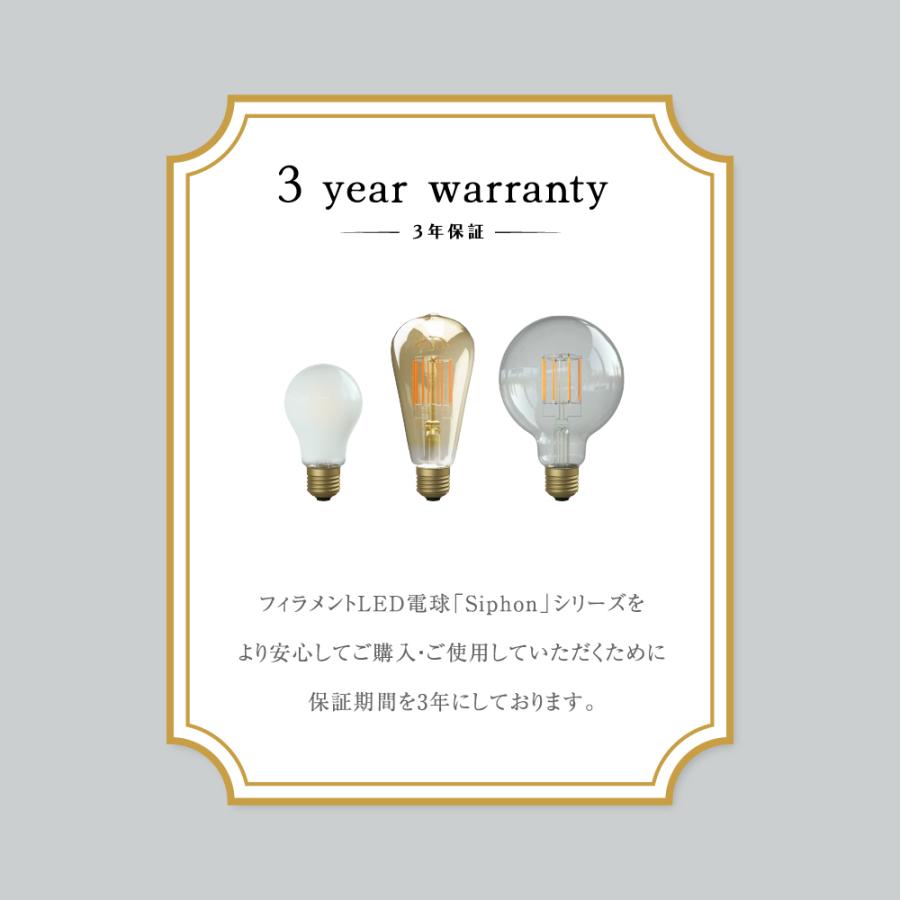 Siphon フィラメントLED電球「Siphon」ザ・バルブ LDF38D E26 Silver