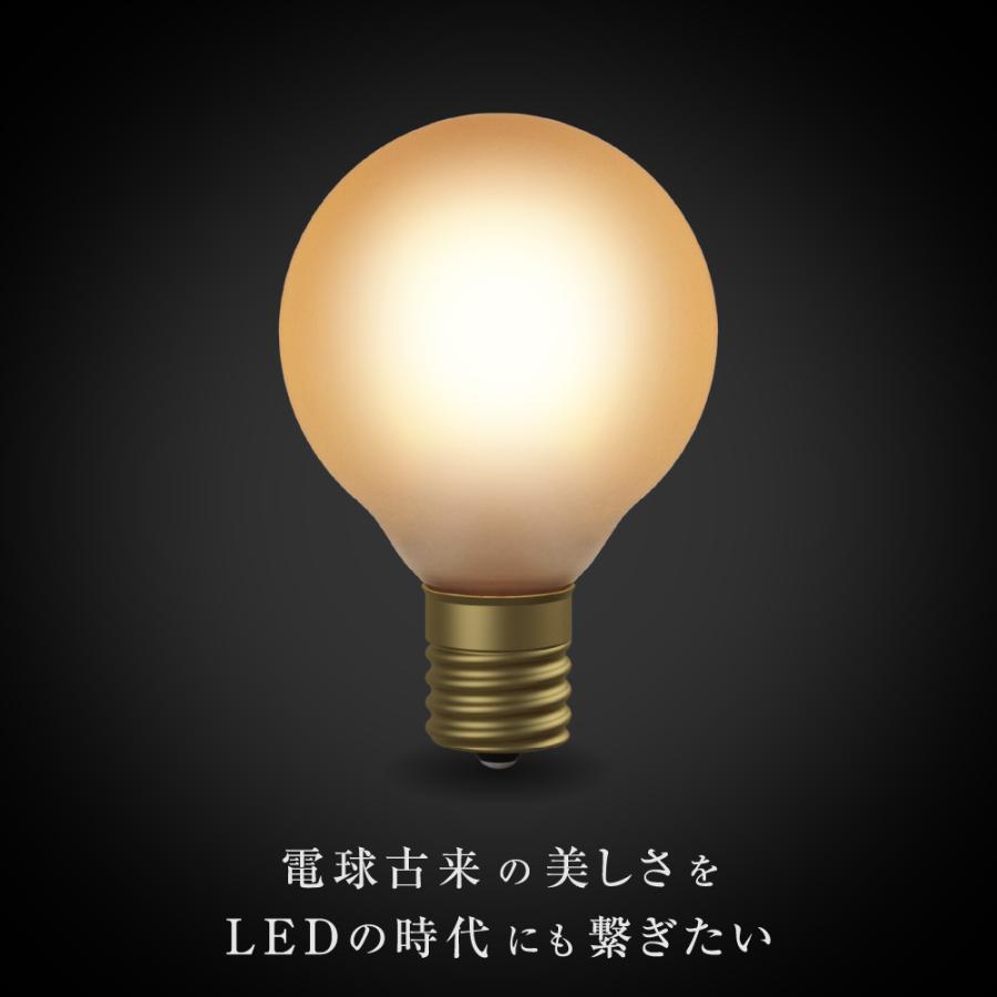 Siphon フィラメントLED電球「Siphon」Frost ボール50 LDF59D E17