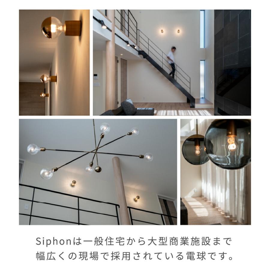 Siphon 3年保証 フィラメントLED電球「Siphon」frost ボール70 LDF88D